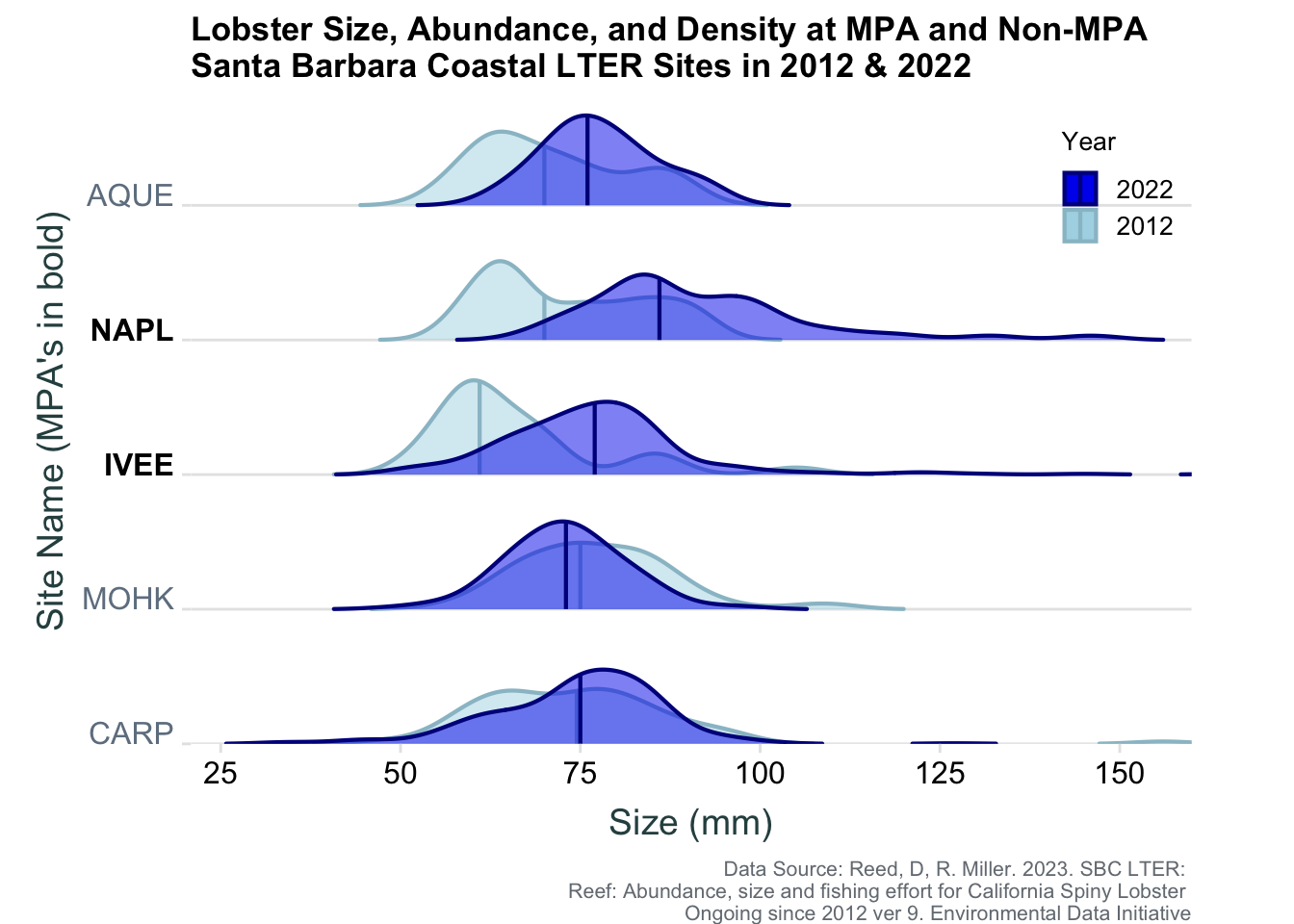 A ridge + bee-swarm plot illustrating median lobster sizes across five sites, highlighting significant differences over 10 years. MPA sites (NAPL and IVEE), established in 2012, show distinct changes. Non-MPA sites (CARP and MOHK) exhibit minimal differences, while AQUE sees a moderate increase, albeit less pronounced than MPA sites.